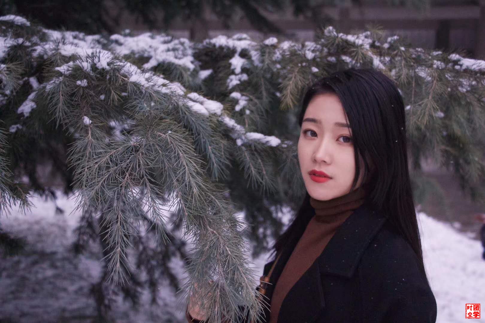 忠于内心，不负青春韶华