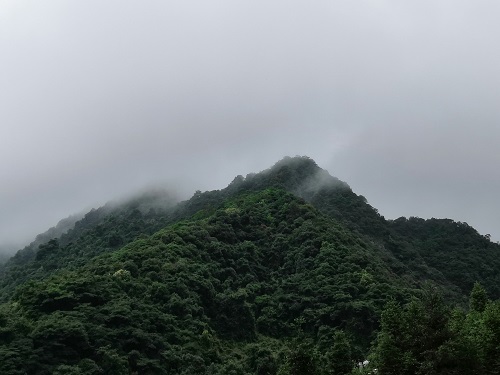 云雾缭绕的山头2019.7.4.jpg