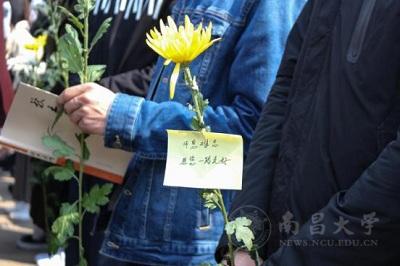 清明风至仰师德　师魂永驻寄追思_南昌大学师生自发纪念石秋杰老师