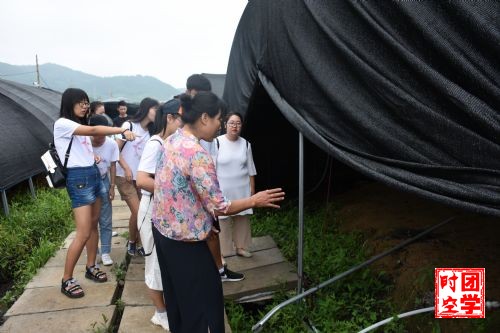 南大学子人杰灵，心怀长白山水情――记南昌大学长白山实践队“走进长白”实践活动