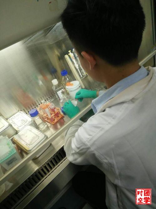 且当青春正韶华，挑战杯国赛亮锋芒