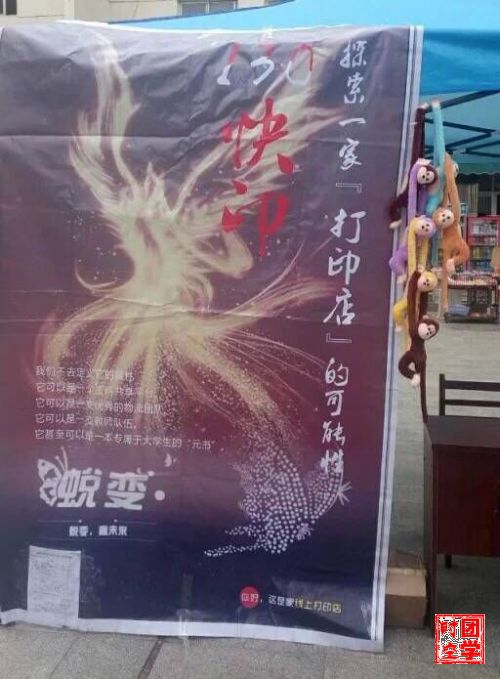 章珑斌：拼了命，尽了心，不后悔――小黄人创业记